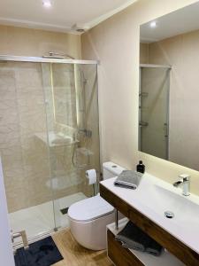 a bathroom with a shower and a toilet and a sink at Apartamento con encanto Puerto de Navacerrada in Cercedilla