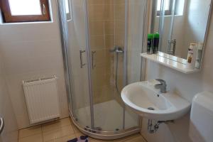 a bathroom with a shower and a sink at Apartma Lovor in Bohinj