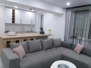 Apart Eric في كالافات: غرفة معيشة مع أريكة رمادية مع وسائد وردية