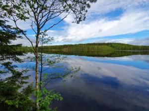 vistas a un lago con árboles en la orilla en Tuhannen Tarinan Talo, en Kannuskoski