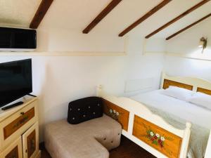 Gallery image of Vila Horia Bradet in Săcele