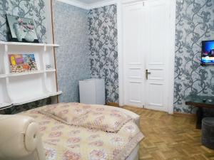 TV a/nebo společenská místnost v ubytování Hotel Edemi Castle