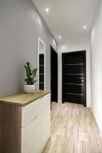 una cocina con una encimera con una planta en Apartment Livaja, en Split