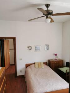 1 dormitorio con 1 cama y ventilador de techo en Ca' Dorotea, en Canaro