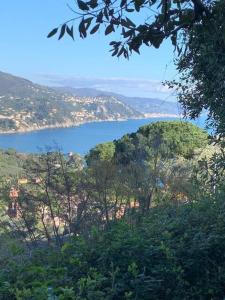 uma vista para um lago a partir de uma colina com árvores em Lakshmi House em Rapallo