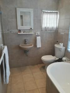 a bathroom with a toilet and a sink at Whales Way Ocean Retreat in Wilderness