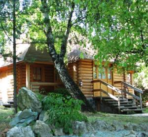 drewniany domek z werandą i drzewem w obiekcie Druzhba Hotel w mieście Użhorod