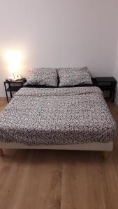 リールにあるAppart Lille Centreの枕2つが備わるドミトリールームのベッド1台分です。