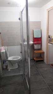 ein Bad mit einem WC und einem Waschbecken in der Unterkunft Appart Lille Centre in Lille