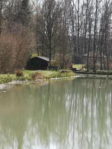 a pond with trees and a building in the background at Ferienwohnung Alte Linde in Hardheim