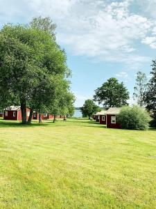 a field with two red buildings and a tree at Övernäsgården Gästhem in Mariehamn