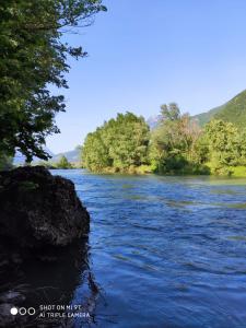 a view of a river with trees in the background at Agriturismo Revena in Belluno Veronese