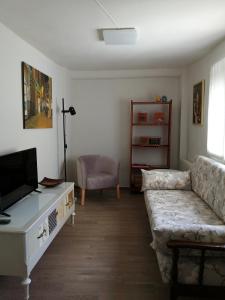 ein Wohnzimmer mit einem Sofa und einem TV in der Unterkunft Apartamento Torreón de la Bombardera in Teruel