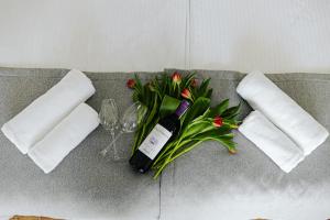 Fotografie z fotogalerie ubytování Panorama_SPA v destinaci Trzęsacz