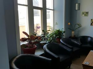 a waiting room with black leather chairs and plants at Glen Orchy House in Lerwick