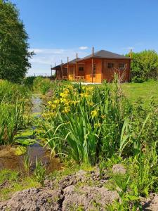 una casa en medio de un campo con flores en Camping de Oude Rijn en Ter Aar