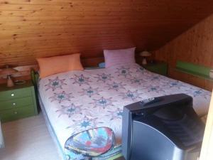 een slaapkamer met een bed en een tv. bij Ferienwohnung Quaisser in Miltenberg