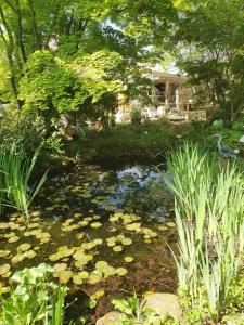 a pond with lily pads in a garden at Ferienwohnung Quaisser in Miltenberg