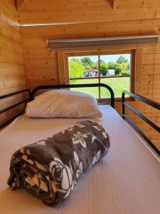 a bed in a wooden cabin with a large window at Camping de Oude Rijn in Ter Aar