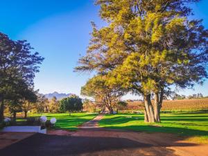 Fotografie z fotogalerie ubytování 401 Rozendal Cottages v destinaci Stellenbosch