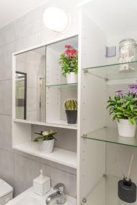 a bathroom with a mirror and potted plants on shelves at סטודיו ליה - studio lia eilat in Eilat