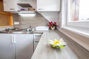 Photo de la galerie de l'établissement Apartment Kikelj, à Bohinj