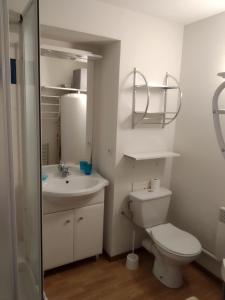 a bathroom with a toilet and a sink at Au Cordouan in Le Verdon-sur-Mer