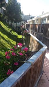 Residence Lores 2 - Go Vacanze في ماريليفا: حديقة بها ورد وردي وسياج خشبي