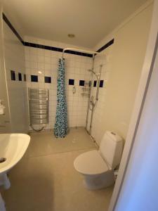 La salle de bains est pourvue de toilettes, d'une douche et d'un lavabo. dans l'établissement Broby Gästgivaregård, à Sunne
