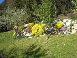 Ein Garten an der Unterkunft Ferienwohnungen Eggarter