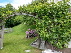Ein Garten an der Unterkunft Ferienwohnungen Eggarter