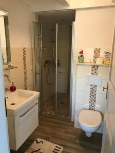 y baño con ducha, aseo y lavamanos. en Kleine Ferienwohnung bei Kappeln an der Schlei en Kappeln