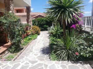 un sentiero nel giardino con una palma e fiori di Flamingo Guest House- Rooms a Olbia