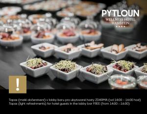 Foto dalla galleria di Pytloun Wellness Hotel Hasištejn a Místo