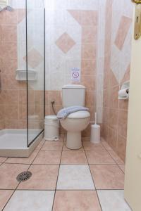 a bathroom with a toilet and a shower at GOLDEN COAST NAXOS in Agios Prokopios