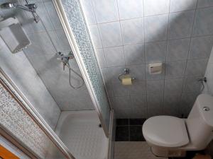 ein kleines Badezimmer mit Toilette und Dusche in der Unterkunft Ferienwohnungen Eggarter in Fresach