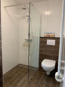 a bathroom with a toilet and a glass shower at Texelheerlijk 18 in De Koog