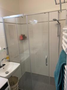 Kúpeľňa v ubytovaní Deluxe apartmán Liščí kopec