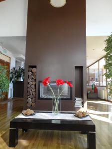 Foto da galeria de View Hotel BRC em San Carlos de Bariloche