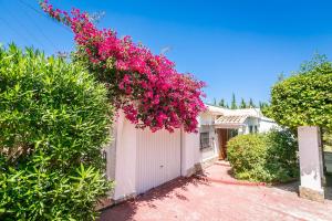 Fotografia z galérie ubytovania Jardín del Aviador v destinácii Jávea