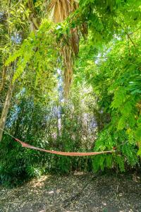 Fotografia z galérie ubytovania Jardín del Aviador v destinácii Jávea