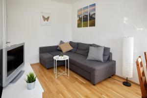 Sala de estar con sofá gris y TV en Gemütliches Apartment in zentraler Lage en Graz