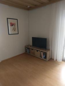 sala de estar con TV de pantalla plana en un soporte en Ferienwohnung Wolf en Tittling