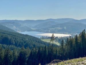 ヒンターツァルテンにあるHotel Zartenbach B&Bの木々と湖の丘の景色