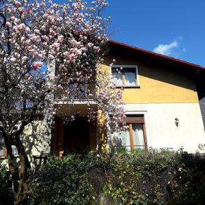 una casa con un árbol floreciente delante de ella en La Tana Rooms en Lenno