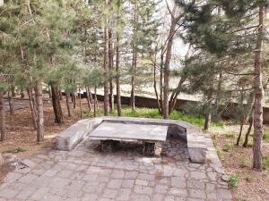 Residence Serra La Nave في Ragalna: مقعد حجري جالس في وسط حديقة