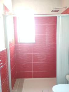 bagno con pareti rosse e doccia di B&B Casa Dany a Ricadi