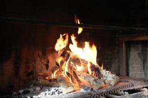 Fotografie z fotogalerie ubytování Hotel Tulikettu v destinaci Sotkamo