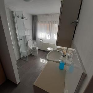 a bathroom with two toilets and a sink and a mirror at Ferienwohnung Irmgard in Plein