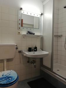 a bathroom with a sink and a toilet and a mirror at Apartment Angelika in Zell am See